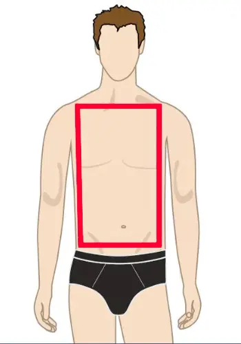 فرم بدن مستطیلی در مردان